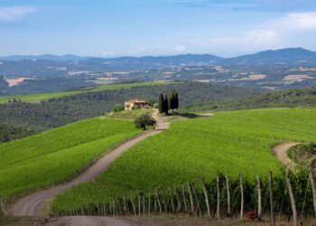 Ferragamo vende Castiglion Del Bosco. Rimane Rosewood