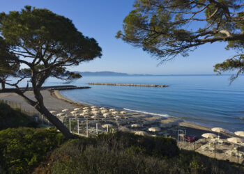 Icon Collection investe 30 mln e prevede +46% di ricavi