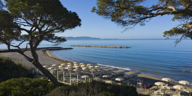 Icon Collection investe 30 mln e prevede +46% di ricavi