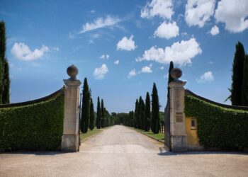 Il Borro oltre le attese, previsione a +50%. Ferragamo investe 5 mln su Viesca