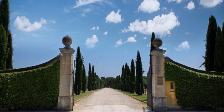 Il Borro oltre le attese, previsione a +50%. Ferragamo investe 5 mln su Viesca