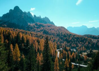 Viaggi degli italiani in autunno ancora indietro sul 2019 (-7%)