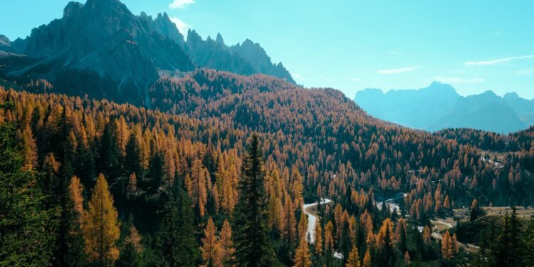 Viaggi degli italiani in autunno ancora indietro sul 2019 (-7%)