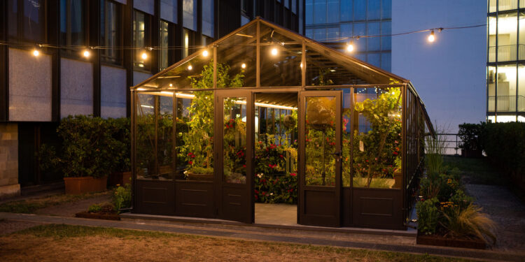 Hilton Milan lancia l’orto urbano in terrazza. Altro step verso la sostenibilità