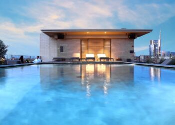 Precursori del trend  rooftop & pool