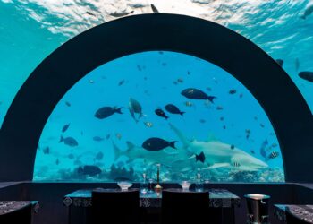 Cocoon ancora insieme allo stellato Berton in You&Me Maldives