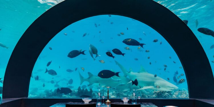 Cocoon ancora insieme allo stellato Berton in You&Me Maldives