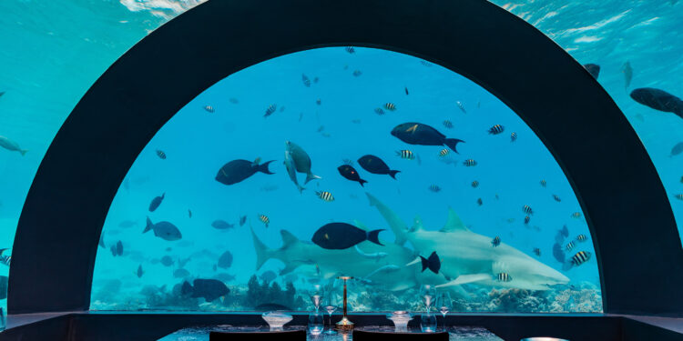 Torna la gourmet week di Berton a You&Me Maldives