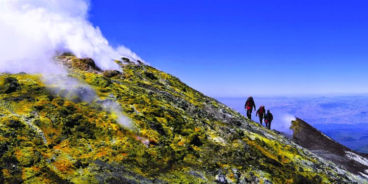 Destination Italia, ricavi verso 90 milioni di euro nel 2025
