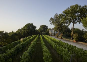 Tenute Capaldo verso 32,5 mln di euro. Espansione nell’hospitality