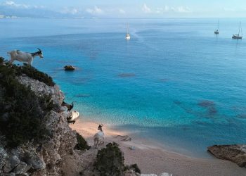 La sarda Cala Goloritzé è la spiaggia più bella del mondo