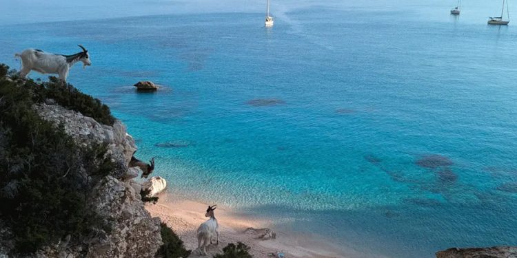 La sarda Cala Goloritzé è la spiaggia più bella del mondo