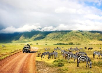 Tour operator, la top ten rallenta la crescita nel 2024
