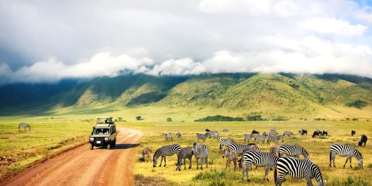 Tour operator, la top ten rallenta la crescita nel 2024