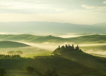 Le cantine italiane investono fino al 15% del fatturato in enoturismo