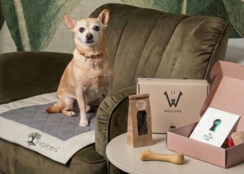 Food for Dogs: la pet hospitality come parte integrante della guest experience