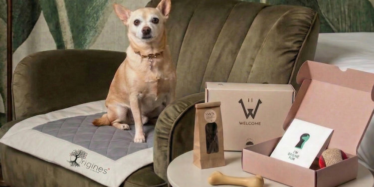 Food for Dogs: la pet hospitality come parte integrante della guest experience